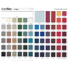 2019ColorGuardChart1