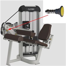 21060-Seated-Leg-Curl-CYW311