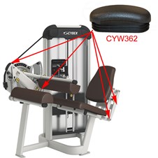 21060SeatedLegCurlCYW362x1000