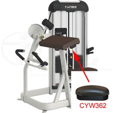 21070ArmCurlCYW362