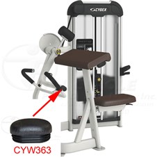 21070ArmCurlCYW363