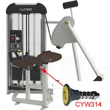 21170GluteCYW314