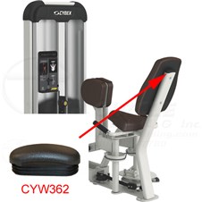 21210HipAdductionCYW362