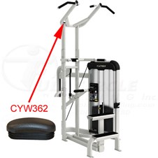 21230assistchindipCYW362