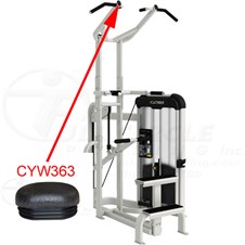 21230assistchindipCYW363