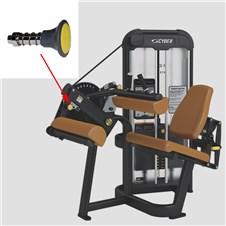 21461-Seated-Leg-Curl-CYW311