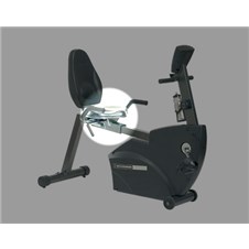 schwinn 217p