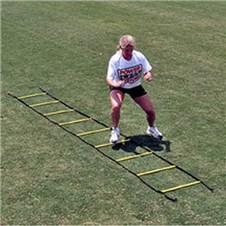 30692Ladder