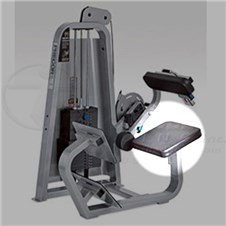 313PrecorBackExtSeat