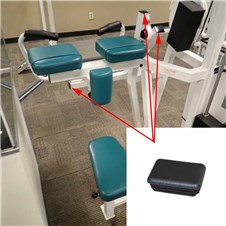 4040-Arm-Curl-FWP269