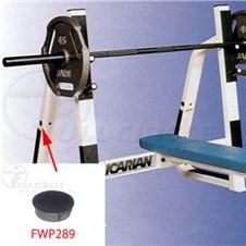 408icFWP289