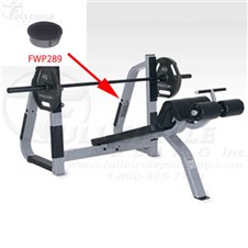411PrecorOlyDeclineBenchFWP289