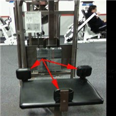 4200RotaryTorsoThigh