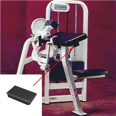 4535-Arm-Curl-FWP283