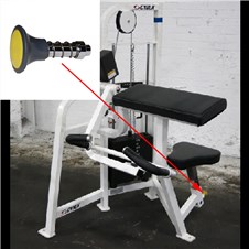 4820-Arm-Curl-CYW311