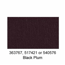 517421-Black-Plum-2025