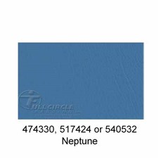 517424-Neptune-2024