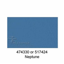 517424Neptune1