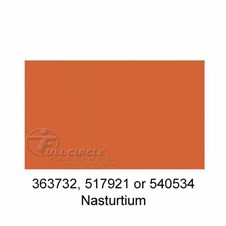 517921-Nasturtium-2024