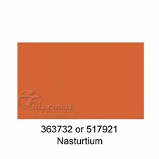 517921Nasturtium