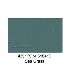 518419SeaGrass1