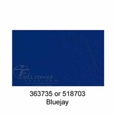 518703Bluejay