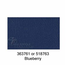 518763Blueberry