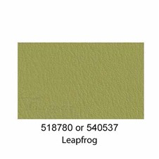518780-Leapfrog-2024