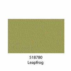 518780Leapfrog1