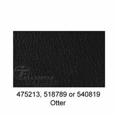 518789-Otter-2024