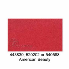 520202-American-Beauty-2024