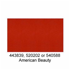 520202-American-Beauty-2025