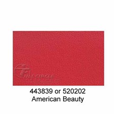 520202AmericanBeauty20181