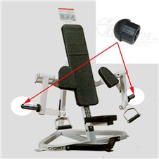 5281-Arm-Curl-FWP300