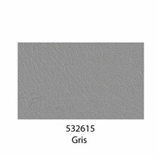 532615Gris