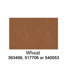 540053-Wheat-2025