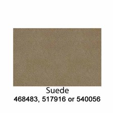 540056-GS-Suede-202