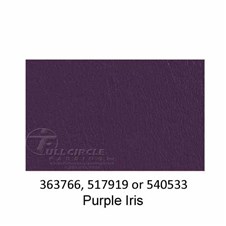 540533-Purple-Iris-2022