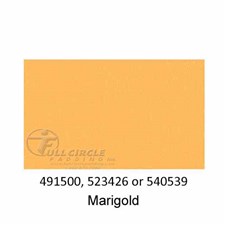 540539-Marigold-2022