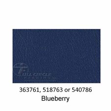 540786-Blueberry-2022
