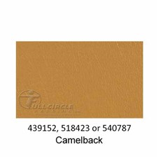 540787-Camelback-2022