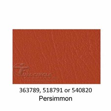 540820-Persimmon-2022
