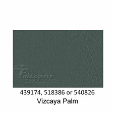 540826-Vizcaya-Palm-2022
