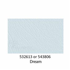 543806-Dream-2022