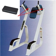 702-Vertical-Knee-Raise-FWP284