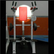A269StandingCrunchBack