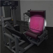 AP2800LegPressNewBack