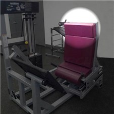 AP2800LegPressNewHead