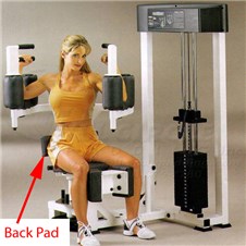 AP300RotaryTorsoBack