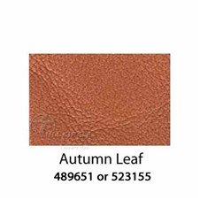 AutumnLeaf20151